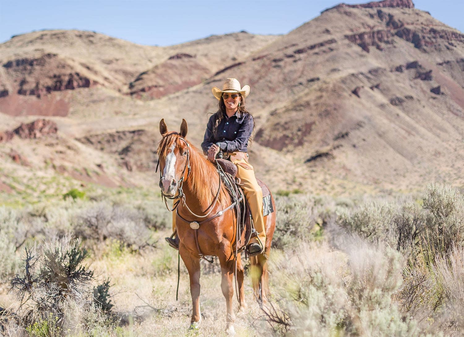 StreamlineEquine Graphic Design Websites Equine Marketing Streamlineequine graphic design websites equine marketing